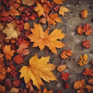 cute fall iphone wallpaper