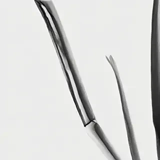 black line png