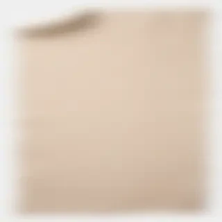 transparent ripped paper png