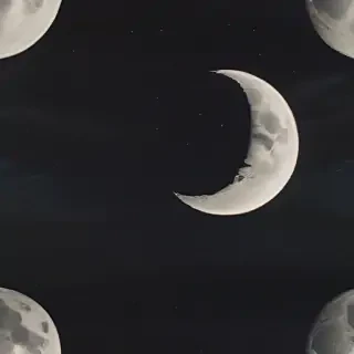 moon frawing