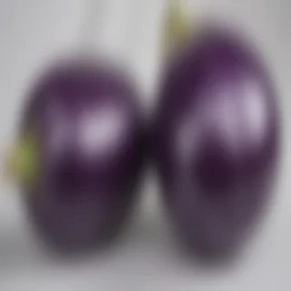 eggplant png