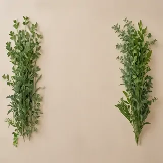 greenery border