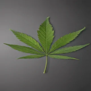 weed leaf png