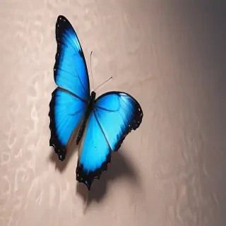 aesthetic blue butterfly