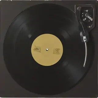 vinyl png