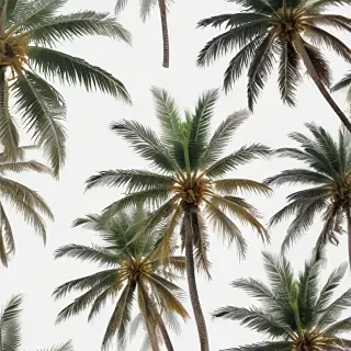 palm trees transparent