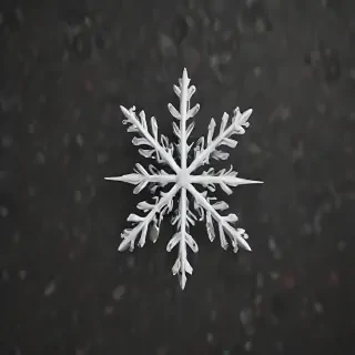 snow flake png
