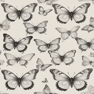 butterflies sketches