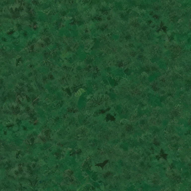 green bg plain