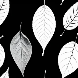 leaf images black and white