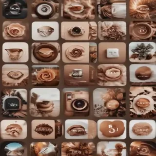 aesthetics brown instagram highlight icons