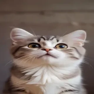 cute backgrounds for iphone