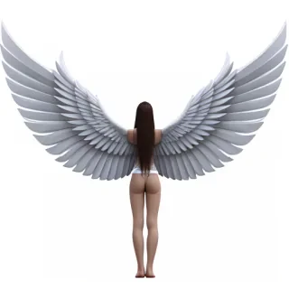 angle wings png
