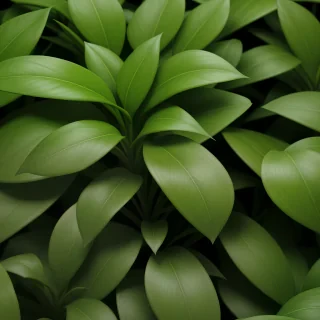 plant zoom background