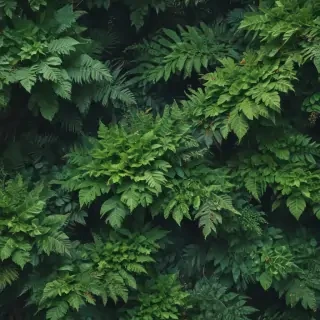 greenery iphone background
