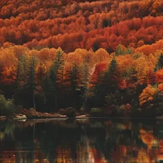 fall wallpaper for iphone