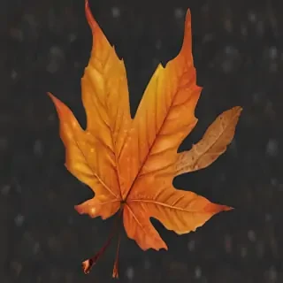 fall leaf png