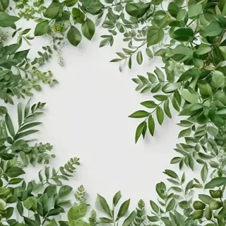 white and greenery background