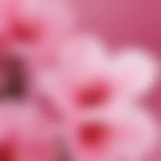 cute pink iphone backgrounds