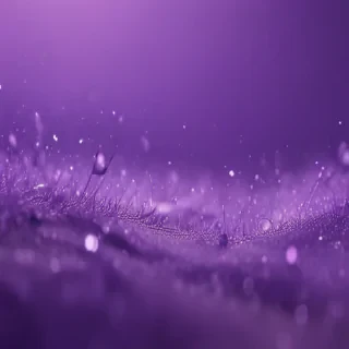 cute purple background