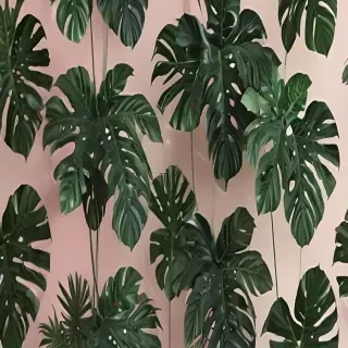 aesthetic plant wallpaper