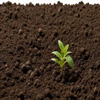 soil png