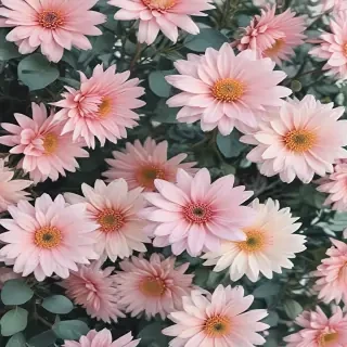 pastel aesthetic flower wallpaper