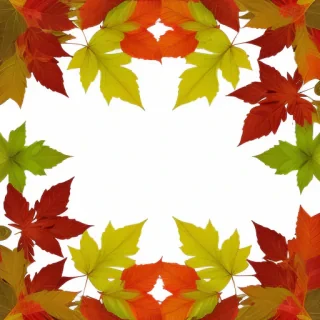 leaves transparent background