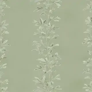 sage green bg