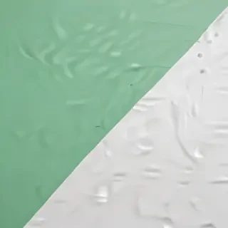 white and green background
