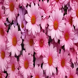wallpaper iphone flowers