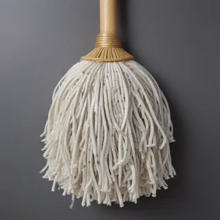 mop png