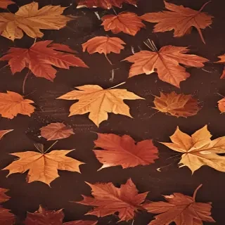 fall iphone wallpaper