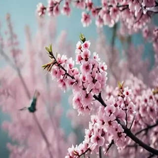 springtime iphone wallpaper