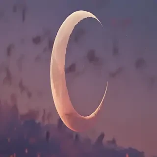 aesthetic crescent moon
