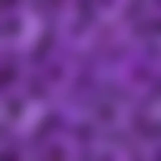 purple flowers background