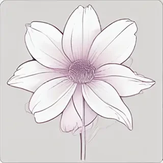 flower outline png