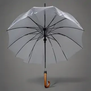 umbrella transparent background
