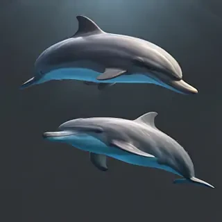 dolphins png