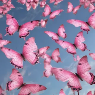 pink butterflies png