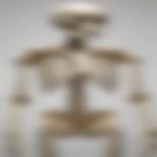 skeleton transparent