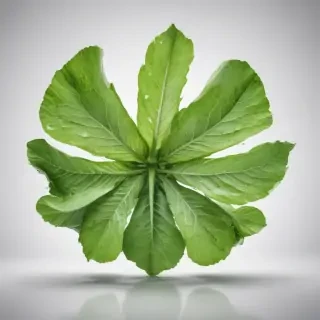 green on white background