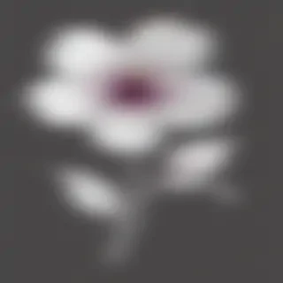 transparent flower outline