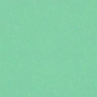mint green background