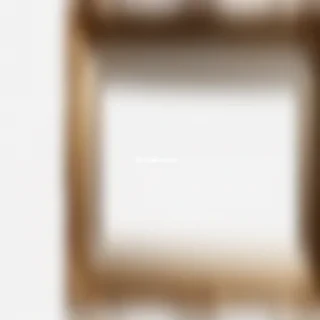 picture frame transparent