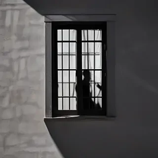 shadow window