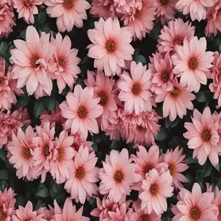 aesthetic flower desktop wallpaper
