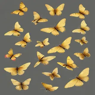 butter flies png