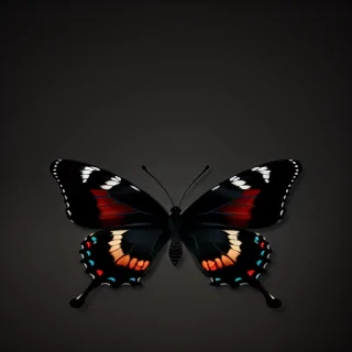 black wallpaper butterfly