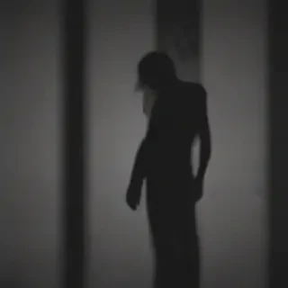 wallpaper shadow